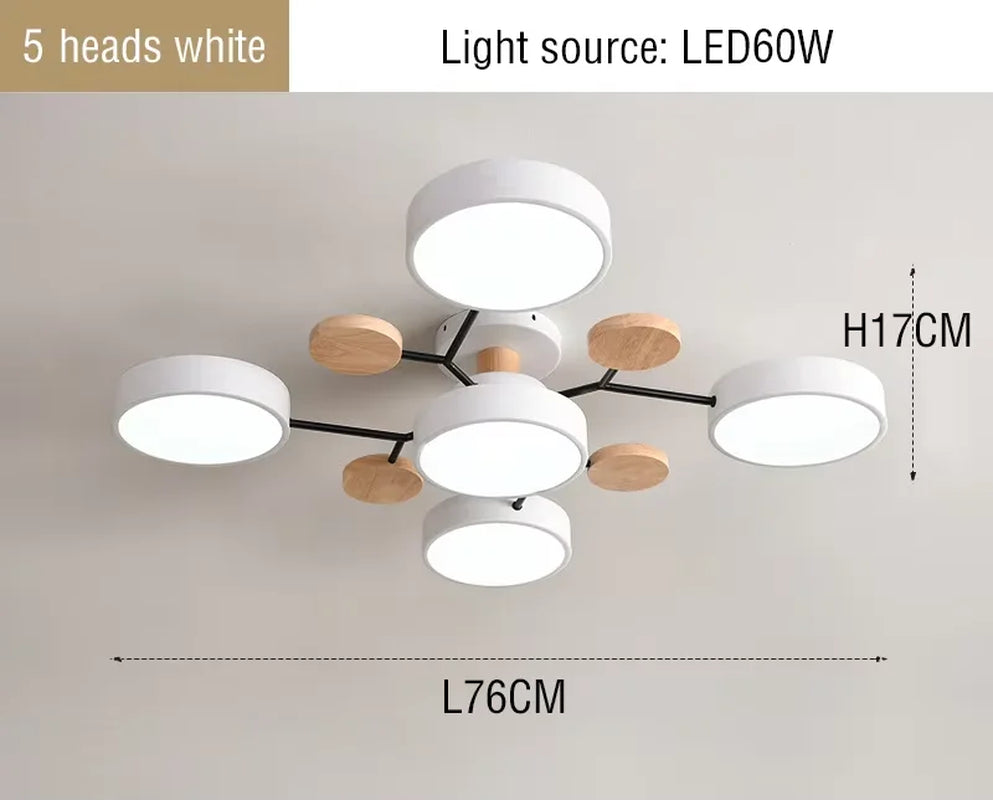 Contemporary LED Ceiling Chandelier