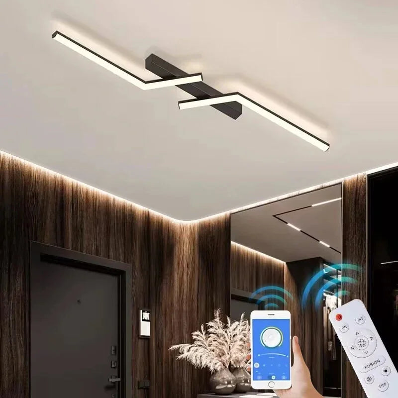 Modern Aisle Led Ceiling Lamp