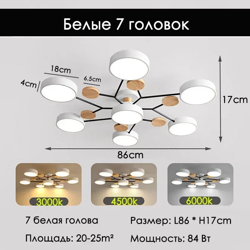 Contemporary LED Ceiling Chandelier